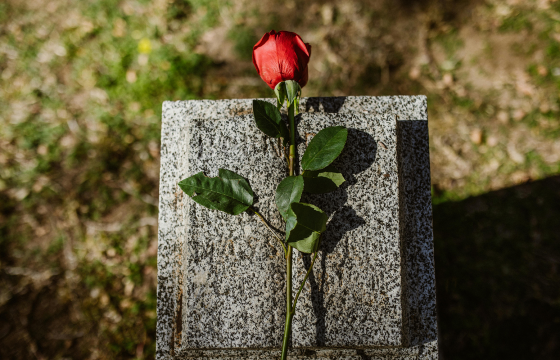 Navigating Milestones and Anniversaries After Loss