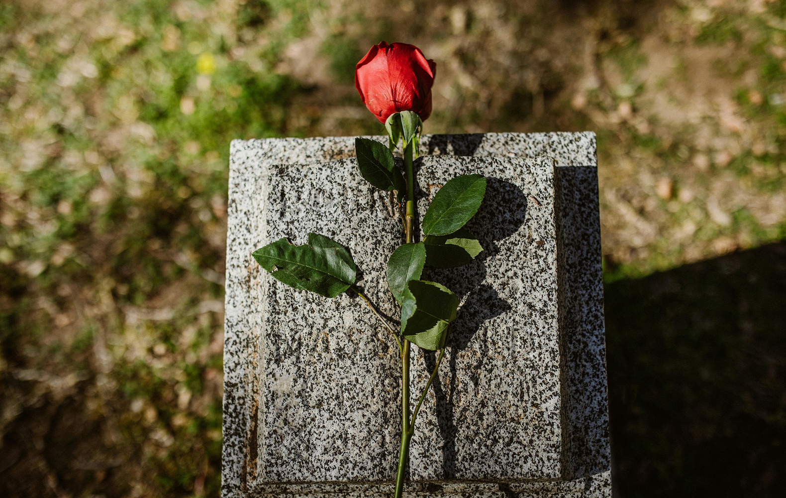 Navigating Milestones and Anniversaries After Loss